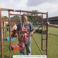 RAYA KORBAN UPDATE WEBSITE 3